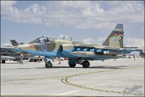 D7T_4502